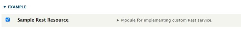 Enabling our custom module for implementation of custom rest resource